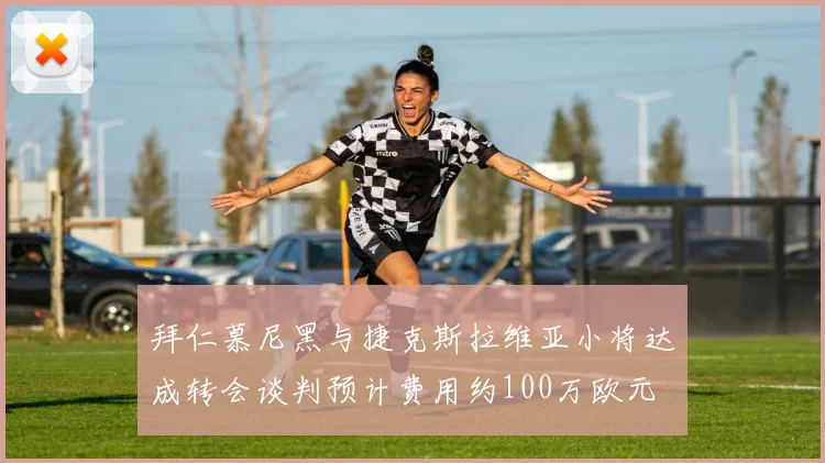 拜仁慕尼黑与捷克斯拉维亚小将达成转会谈判预计费用约100万欧元